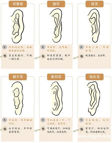 耳朵面向|十六种耳朵面相图文分析三六风水网